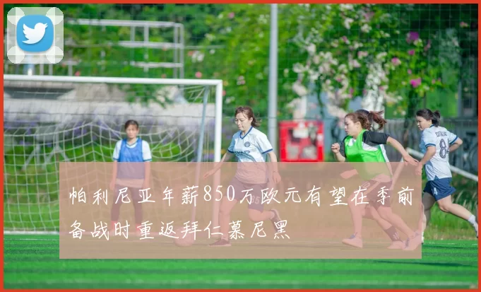 帕利尼亚年薪850万欧元有望在季前备战时重返拜仁慕尼黑