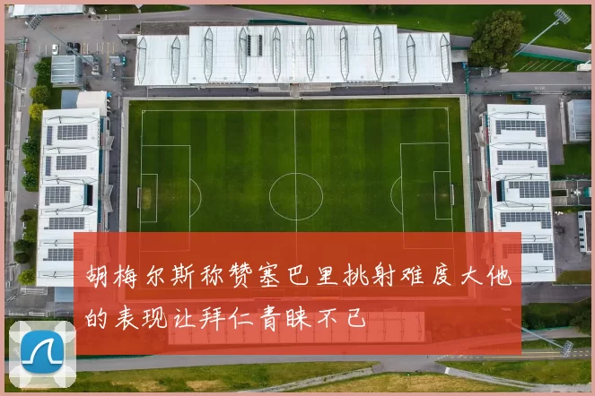 胡梅尔斯称赞塞巴里挑射难度大他的表现让拜仁青睐不已